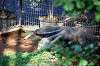 ueno_zoo_5772_mini.jpg