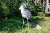 ueno_zoo_5800_mini.jpg