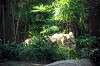 ueno_zoo_5827_mini.jpg