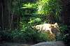 ueno_zoo_5828_mini.jpg