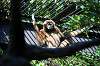 ueno_zoo_5830_mini.jpg