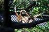 ueno_zoo_5831_mini.jpg