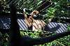 ueno_zoo_5832_mini.jpg