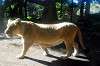 ueno_zoo_5918_mini.jpg