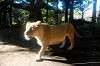 ueno_zoo_5923_mini.jpg