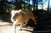 ueno_zoo_5924_mini.jpg