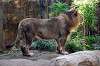 ueno_zoo_5946_mini.jpg