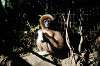 ueno_zoo_5956_mini.jpg