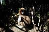 ueno_zoo_5958_mini.jpg