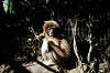 ueno_zoo_5960_mini.jpg