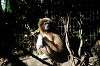 ueno_zoo_5963_mini.jpg