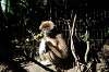 ueno_zoo_5965_mini.jpg