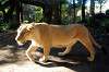 ueno_zoo_5973_mini.jpg