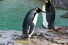 ueno_zoo_6019_mini.jpg