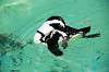 ueno_zoo_6053_mini.jpg