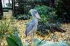 ueno_zoo_6192_mini.jpg