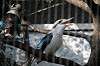 ueno_zoo_6208_mini.jpg