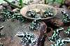 ueno_zoo_6340_mini.jpg
