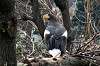 ueno_zoo_6399_mini.jpg