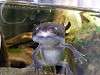 ueno_zoo_6605_mini.jpg