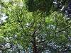 ueno_zoo_6749_mini.jpg