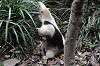 ueno_zoo_6917_mini.jpg