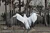 ueno_zoo_7180_mini.jpg
