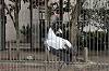 ueno_zoo_7182_mini.jpg
