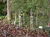 zoorasia_0064_mini.jpg