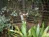 zoorasia_0068_mini.jpg