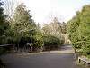 zoorasia_0209_mini.jpg