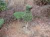 zoorasia_0286_mini.jpg