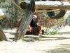 zoorasia_0377_mini.jpg