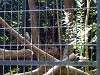 zoorasia_0418_mini.jpg