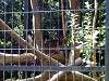 zoorasia_0420_mini.jpg