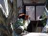 zoorasia_0875_mini.jpg