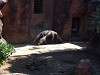 zoorasia_1103_mini.jpg