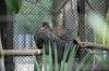 zoorasia_1235_mini.jpg