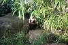 zoorasia_2203_mini.jpg