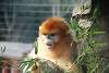 zoorasia_2695_mini.jpg