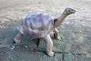 zoorasia_2814_mini.jpg