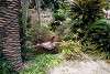 zoorasia_3366_mini.jpg