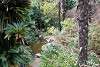 zoorasia_3367_mini.jpg