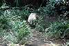 zoorasia_4429_mini.jpg