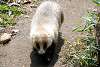 zoorasia_4446_mini.jpg