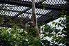 zoorasia_5218_mini.jpg