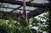 zoorasia_5219_mini.jpg
