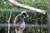 zoorasia_5734_mini.jpg