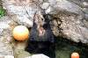 zoorasia_5937_mini.jpg