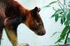 zoorasia_6255_mini.jpg
